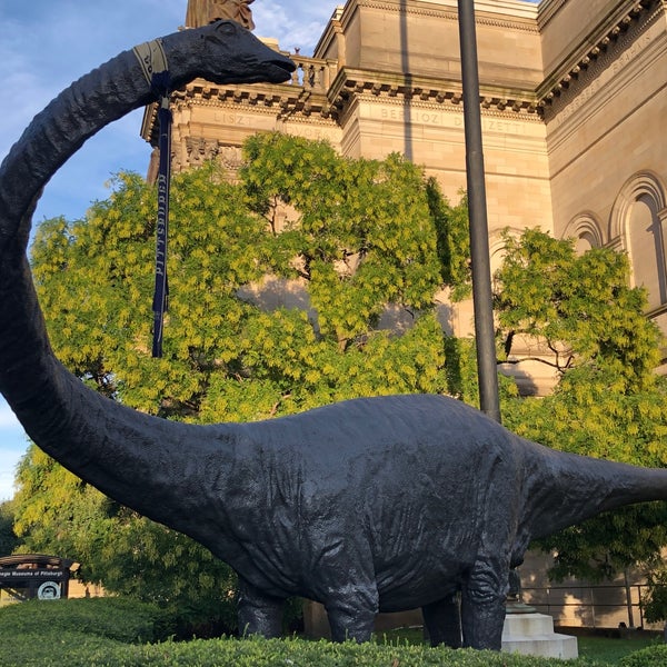 Photo prise au Dippy the Dinosaur (Diplodocus carnegii) par Ani K. le9/14/2019