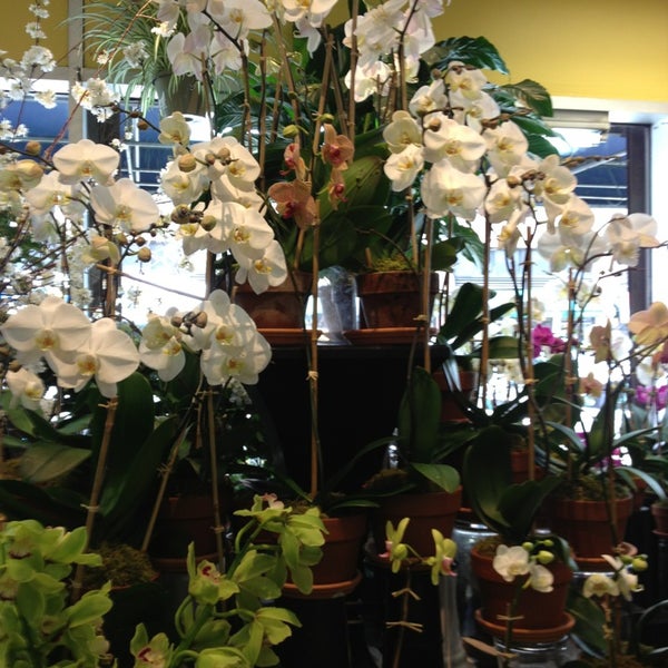 Photos At Eva Garden Flowers Upper East Side 53 Visitors