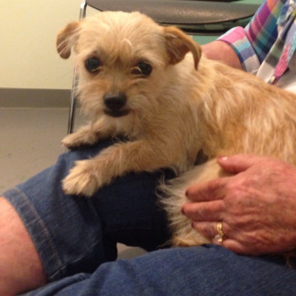 Best Friends Pet Adoption Center Animal Shelter in Atlanta