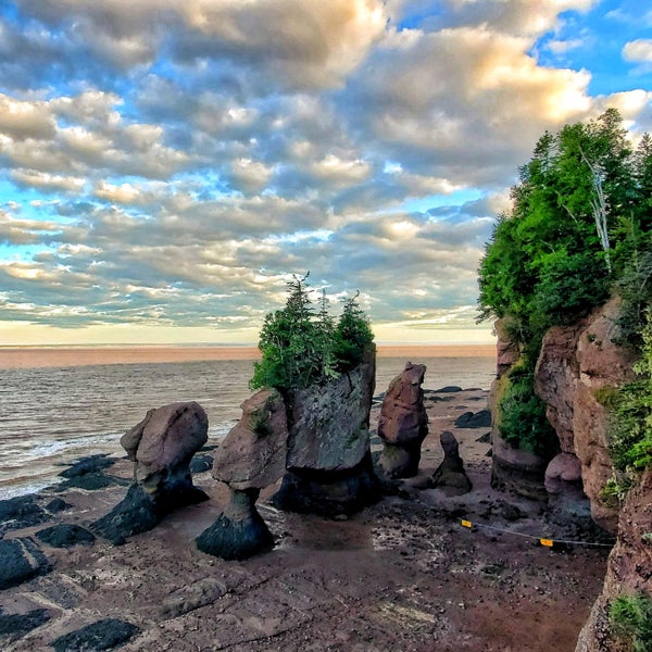 Hopewell Rocks - 131 Discovery Road