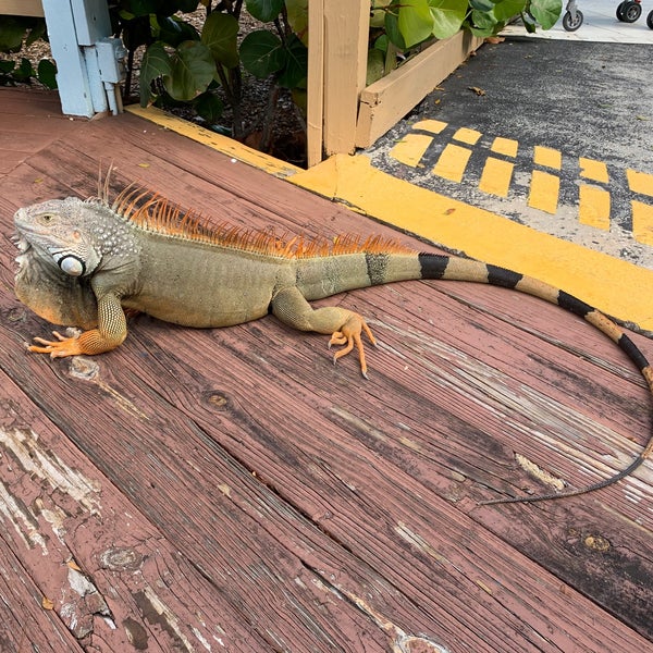 Photo taken at Miami Seaquarium by Rastislav I. on 11/16/2019