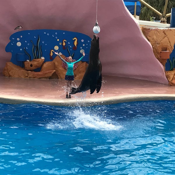 5/10/2018 tarihinde Rastislav I.ziyaretçi tarafından Miami Seaquarium'de çekilen fotoğraf