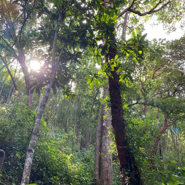 รูปภาพถ่ายที่ Tropical Spice Garden โดย Janice T. เมื่อ 12/5/2021