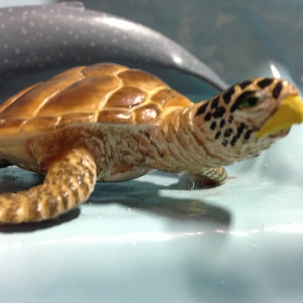 Foto tomada en ECHO Lake Aquarium &amp; Science Center  por Tim C. el 7/14/2013