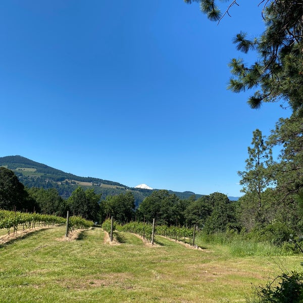 Das Foto wurde bei Cathedral Ridge Winery von Courtney M. am 6/1/2020 aufgenommen