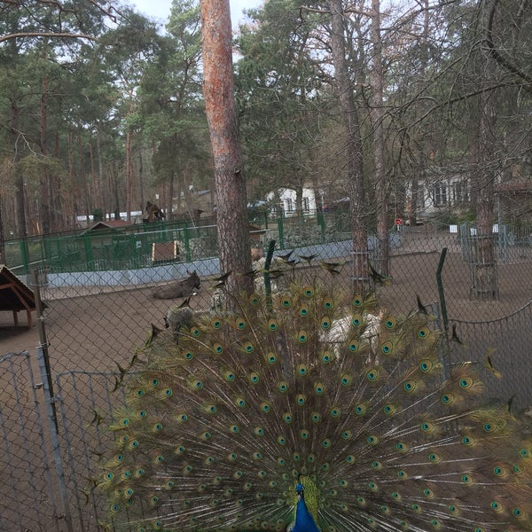Photos At Haus Natur Und Umwelt Stables In Berlin