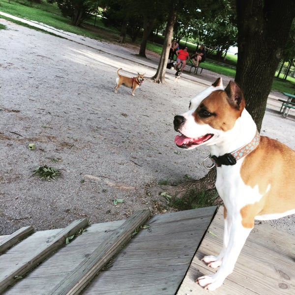 Towers Dog Park Dog Park in Arlington