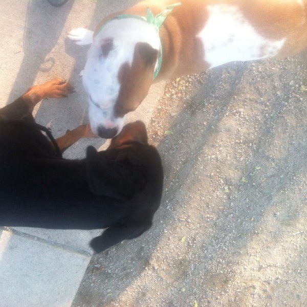 Towers Dog Park Dog Park in Arlington