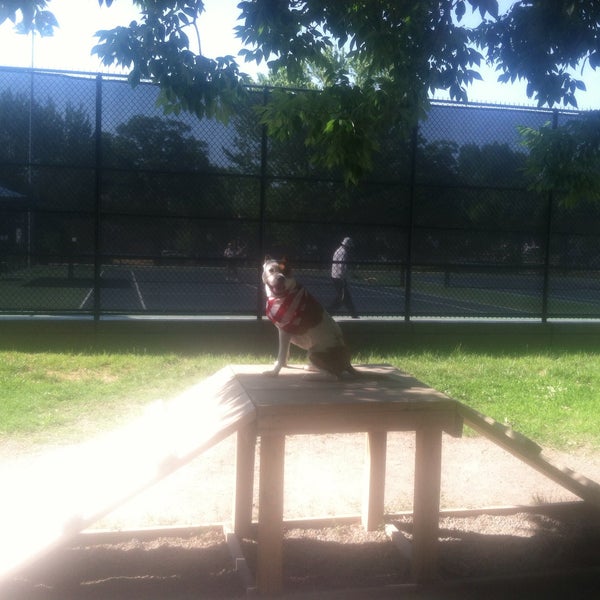 Towers Dog Park Dog Park in Arlington