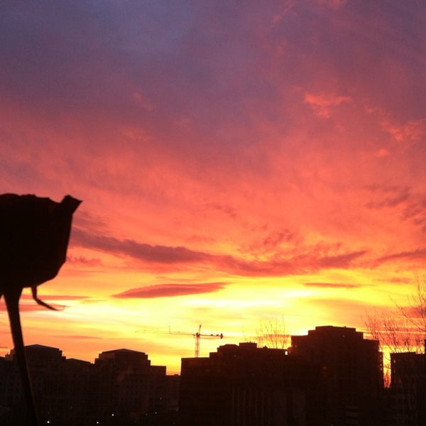 Photos at Quincy Park Park in Arlington