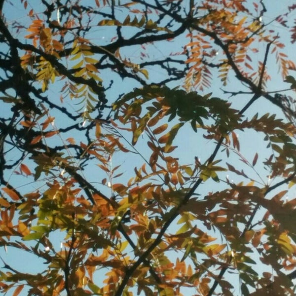 Photos at Produce Junction Farmers Market in Exton