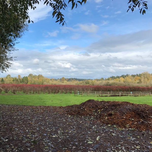 Mercer Slough Blueberry Farm Farm in Bellevue