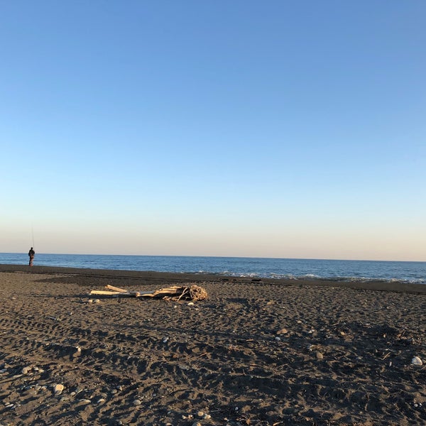 酒匂 海岸 車で入れる