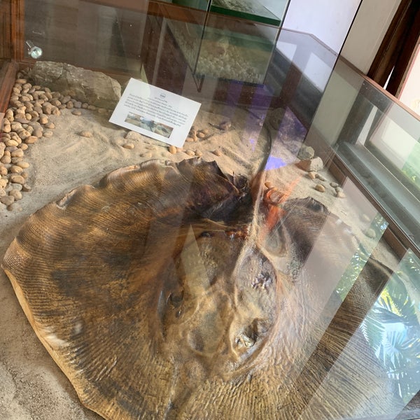 พิพิธภัณฑสถานธรรมชาติวิทยาแห่งจุฬาลงกรณ์มหาวิทยาลัย Chulalongkorn