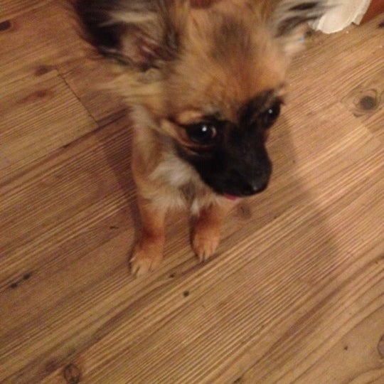 the little black dress agency