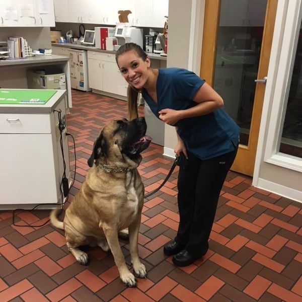 Brookside Veterinary Clinic 85 Grant Ave