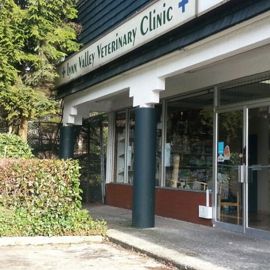 lynn veterinary clinic