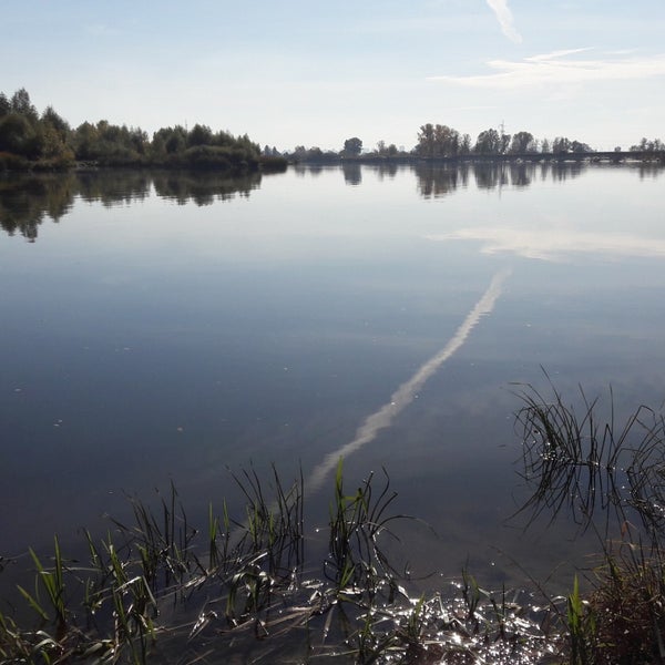 Грелка электрическая десна-7-с клеенка-синтепон 43х47. Десна 9. Десна 9. Десна 9. Десна 9.