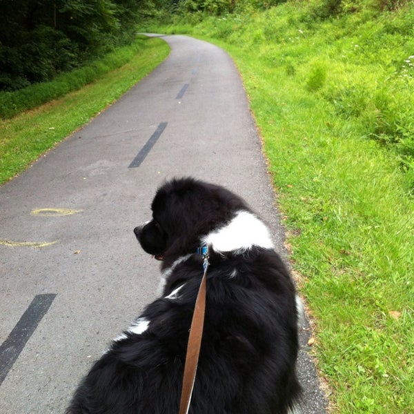 Deckers Creek Trail at Marilla Park WV