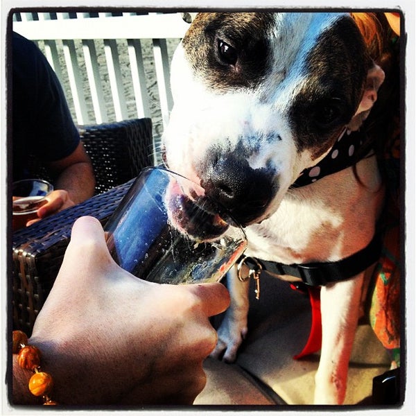 รูปภาพถ่ายที่ Max&#39;s Brew Bar and Krafteria โดย Kasey เมื่อ 9/23/2012