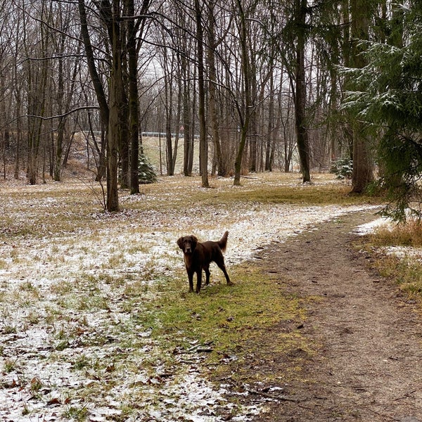 Photos At Englischer Garten Nordteil Alte Heide Hirschau