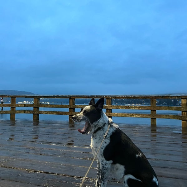 Runner's Den Sporting Goods Retail