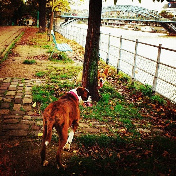 Les parcs et jardins accessibles aux chiens