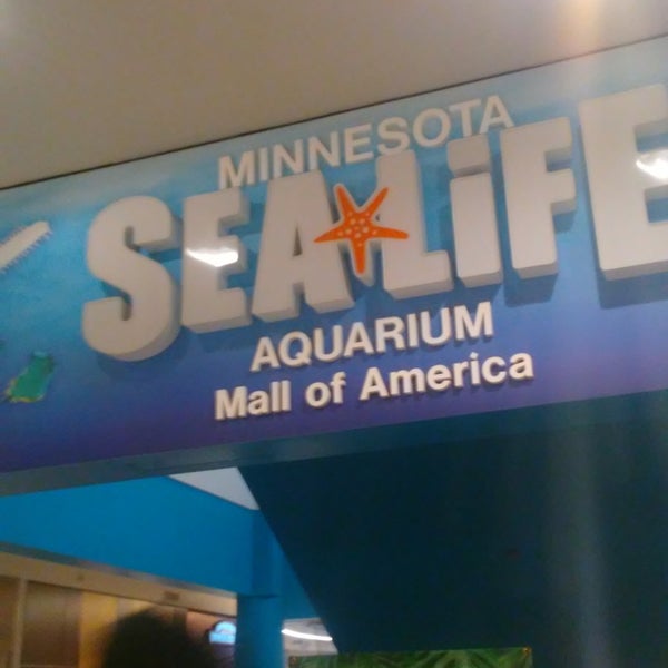 Foto tomada en SEA LIFE Minnesota Aquarium  por Marc جو ٤. el 3/12/2019