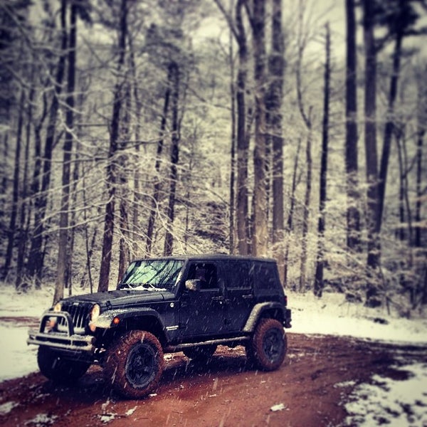 Washington National Forest Forest