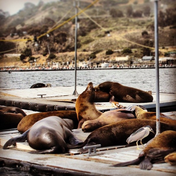 Das Foto wurde bei San Diego SEAL Tours von *iVy D. am 4/21/2013 aufgenommen