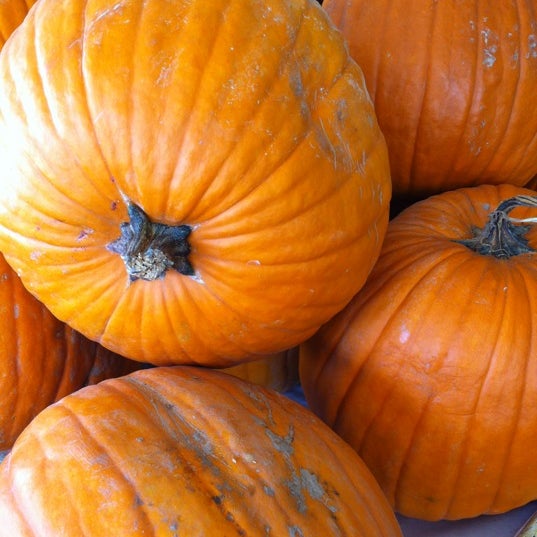 Graham's Produce Market Farmers Market in City