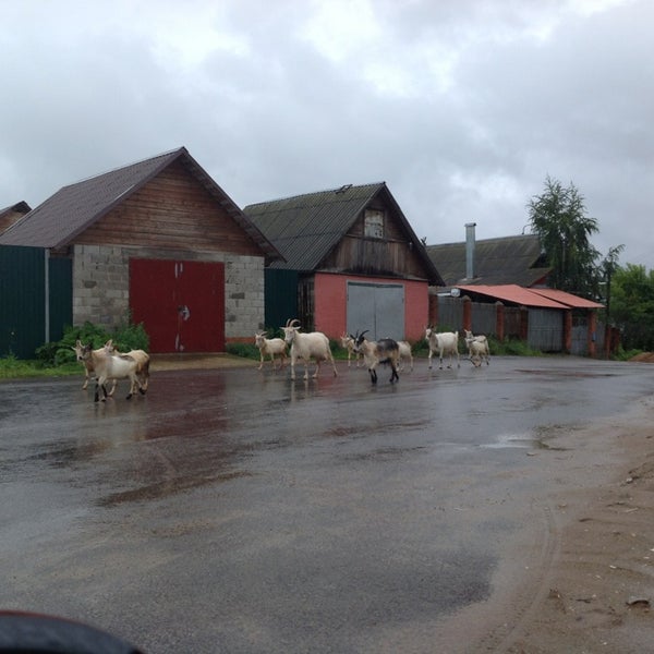 дружба малоярославец