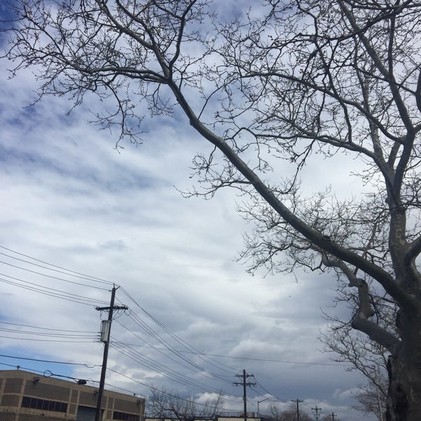 Canarsie Neighborhood