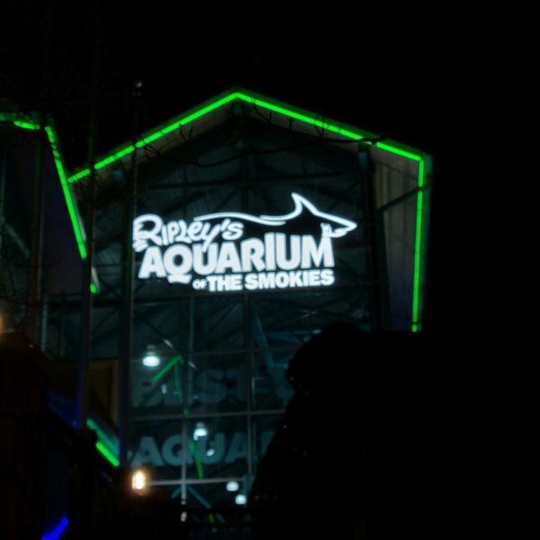 Foto tirada no(a) Ripley&#39;s Aquarium of the Smokies por Stephanie F. em 3/1/2021