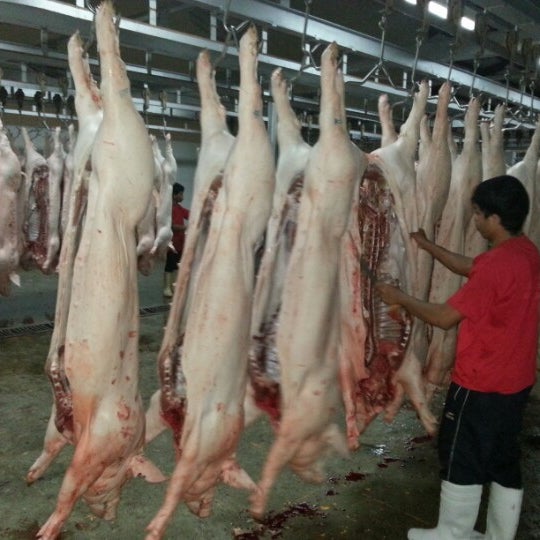 paranaque meat processing slaughter house corporarion San Dionisio