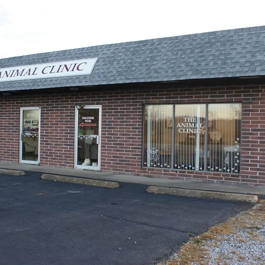Спотлайт 4 здания. Спотлайт 4 an animal hospital. The animal hospital 4 класс spotlight. The animal hospital wordwall. Английский the animal hospital.