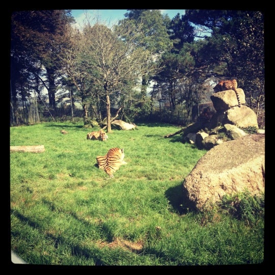 Photo taken at Dartmoor Zoological Park by Frola . on 9/23/2012