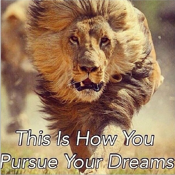 Bittersweet Park Greeley, CO