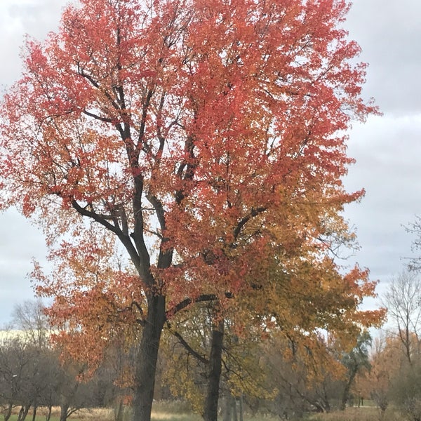 11/14/2018 tarihinde Geo L.ziyaretçi tarafından Buffalo &amp; Erie County Botanical Gardens'de çekilen fotoğraf