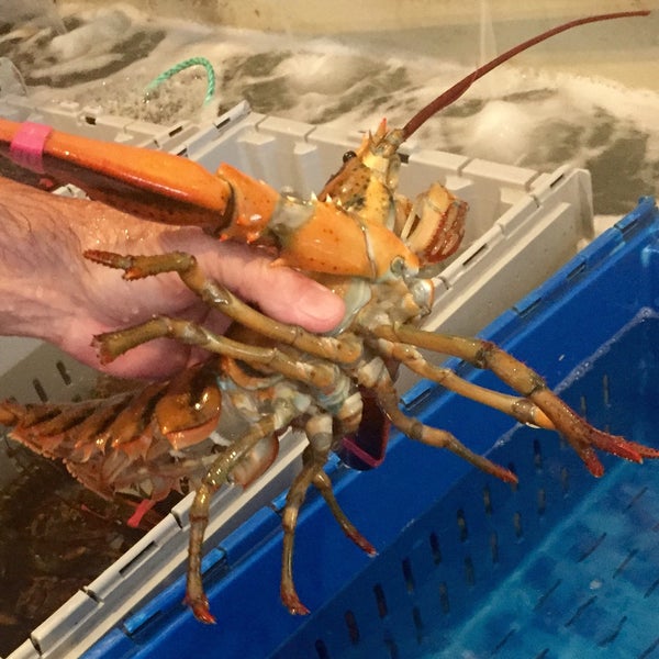 6/20/2016에 ZenFoodster님이 Scarborough Lobster에서 찍은 사진