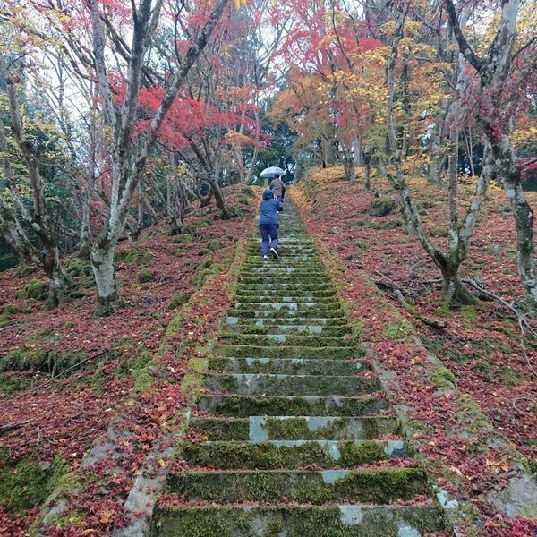 Photos At 御霊もみじ Other Great Outdoors In 中津市 Photos At 御霊もみじ Other Great Outdoors In 中津市