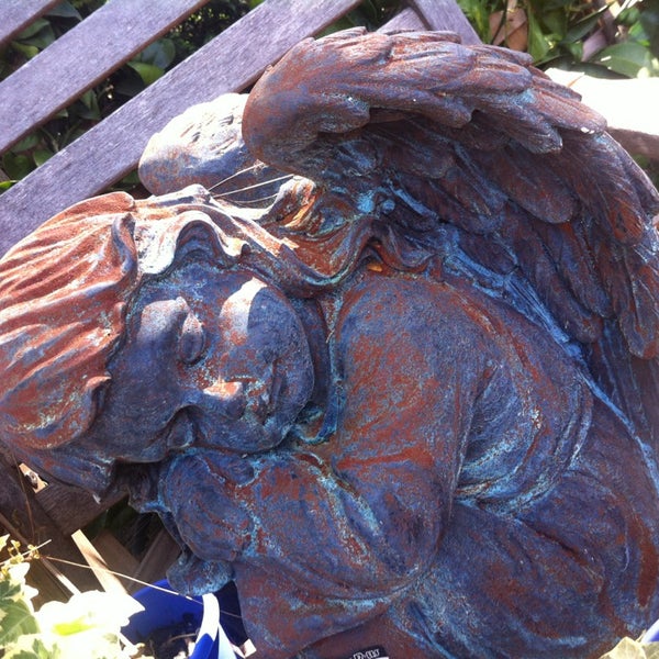 Plants Plus Kingsford/Gardens-R-Us (Now Closed) - 75 Gardeners Rd