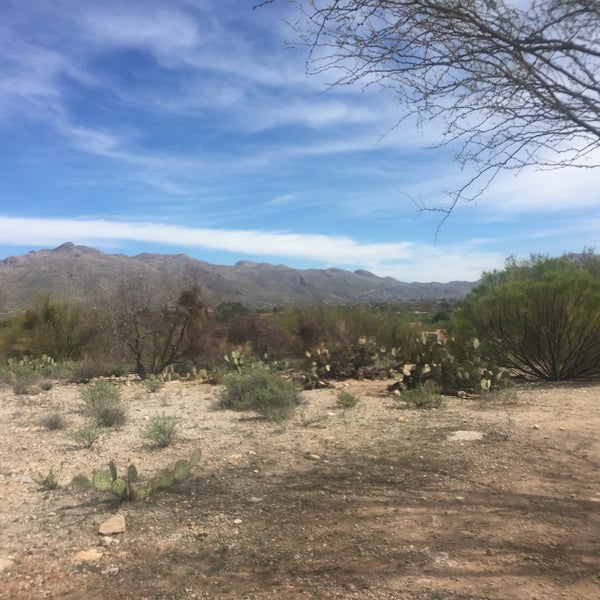 Photo taken at Canyon Ranch in Tucson by Harald B. on 3/12/2018