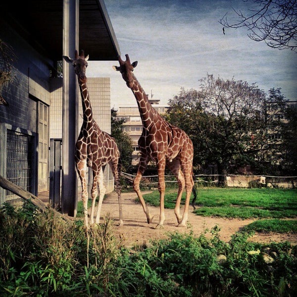 Zoologischer Stadtgarten Karlsruhe Zoo in Südweststadt