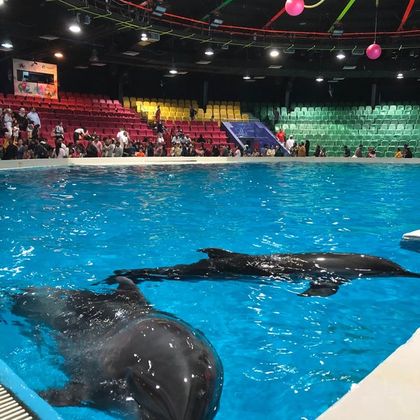 2/15/2020 tarihinde Muhannadziyaretçi tarafından Dubai Dolphinarium'de çekilen fotoğraf