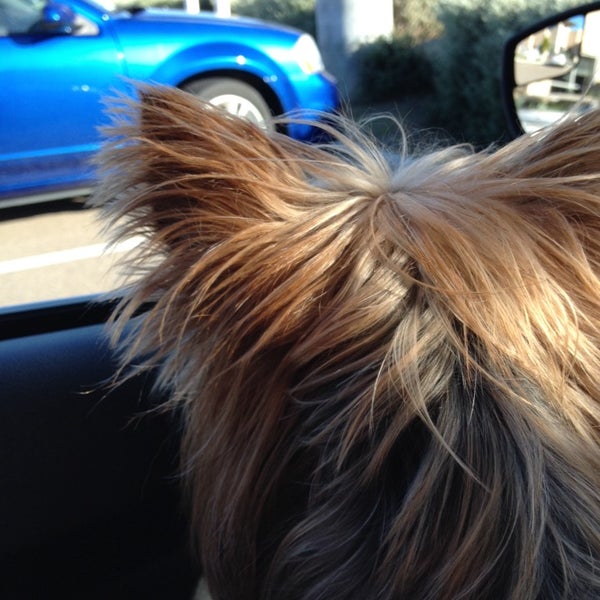 mission animal bird hospital