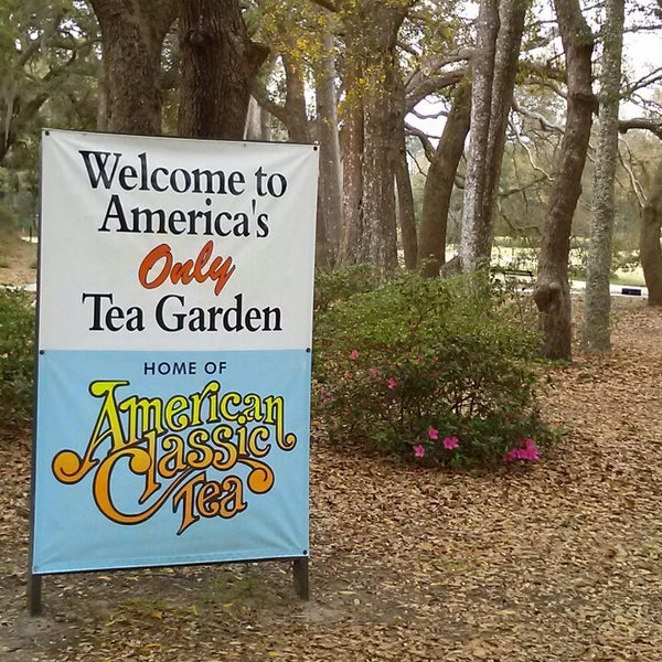 Foto diambil di Charleston Tea Plantation oleh Amy T. pada 3/18/2013