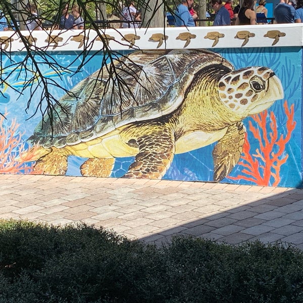 Photo taken at Loggerhead Marinelife Center by GreatStoneFace A. on 2/10/2019