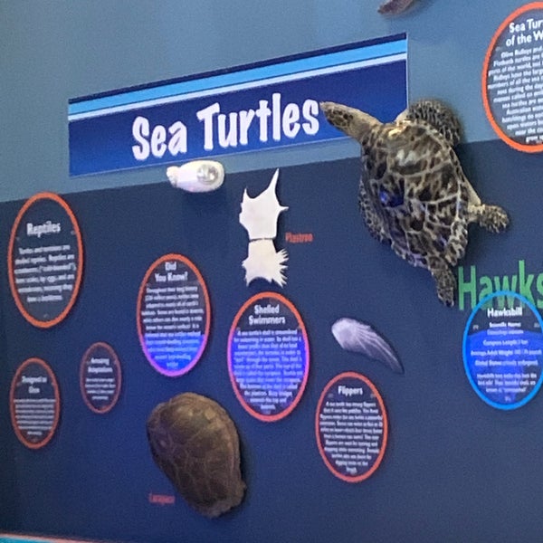 Photo taken at Loggerhead Marinelife Center by GreatStoneFace A. on 7/28/2021