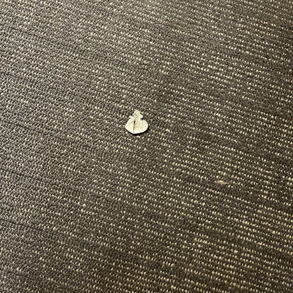 The hotel is shit, there’s no security in this building, my room was breached. Someone spit chewing guns in my room everywhere! The front desk was high. anyone care what they did is fucking illegal??!